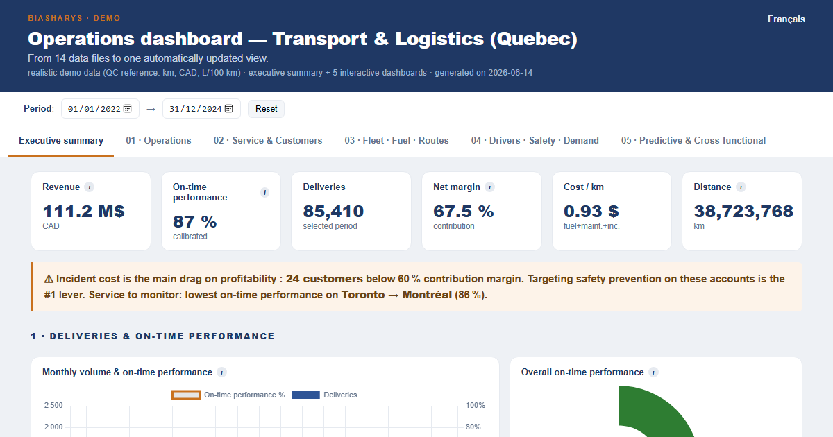 Operations dashboard preview: deliveries, on-time performance, costs and customer margins